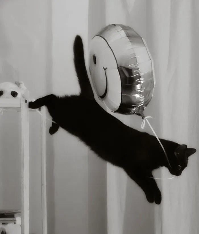 Balloon Thief