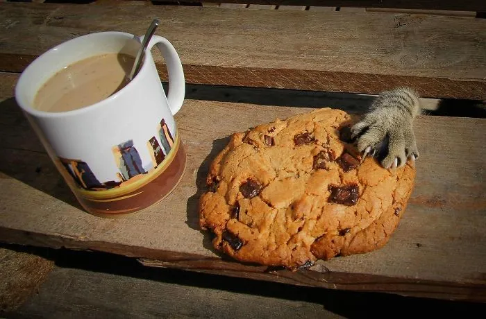 Cookie Thief