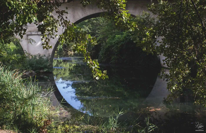 Anamorphose