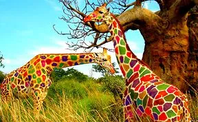 79 Animals With Unexpected Colors