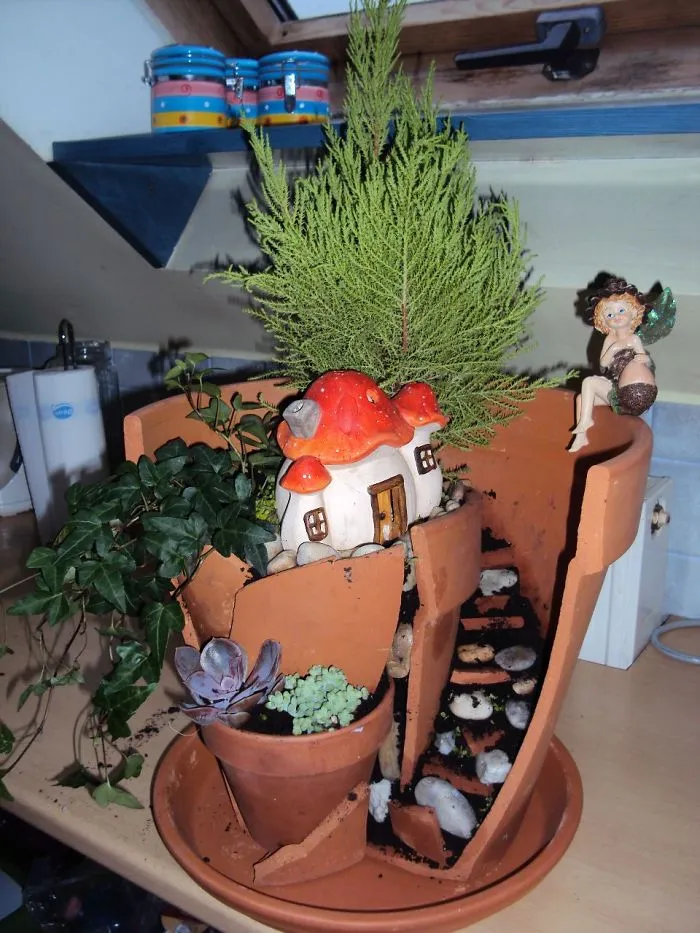Anita's Birthday Pots Garden