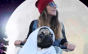 Doug The Pug Does Halloween Better Than You