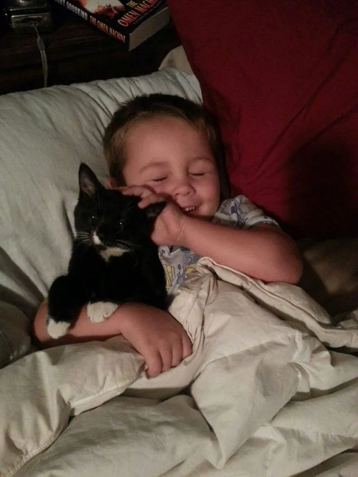 179 Heartwarming Photos Of Kids Playing With Their Cats