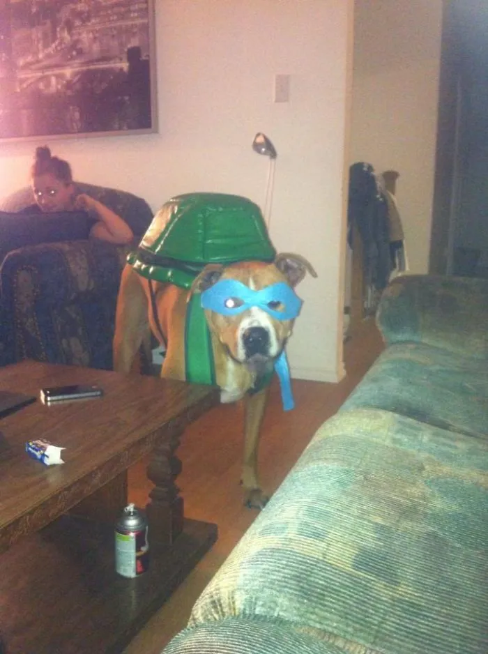 Duke The Ninja Turtle!