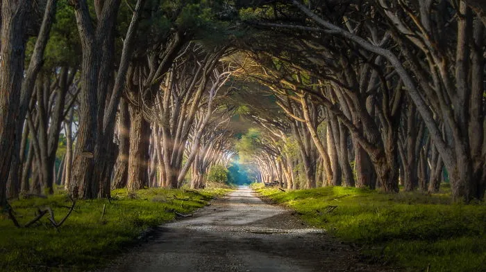 Magical Tunnel