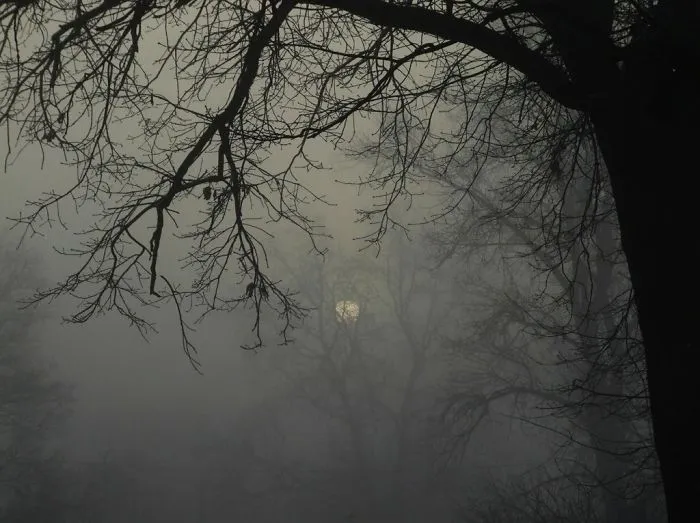 Gloomy Morning In Wroclaw - Poland