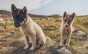 I Visited Greenland Off-Season And Had The Chance To Hike Everywhere All Alone