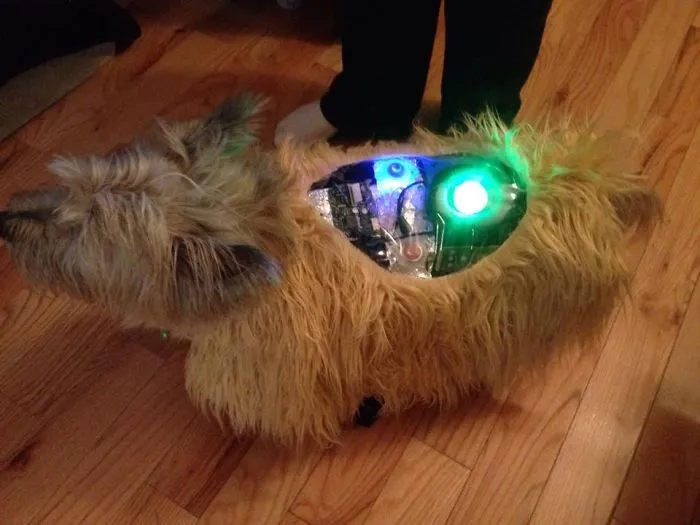 Bionic Dog