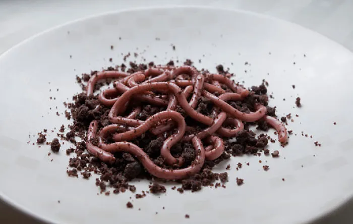 Raspberry Jello Worms On A Bed Of Chocolate Doughnut Crumbs