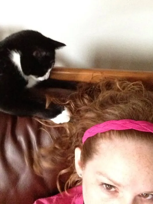 179 Heartwarming Photos Of Kids Playing With Their Cats