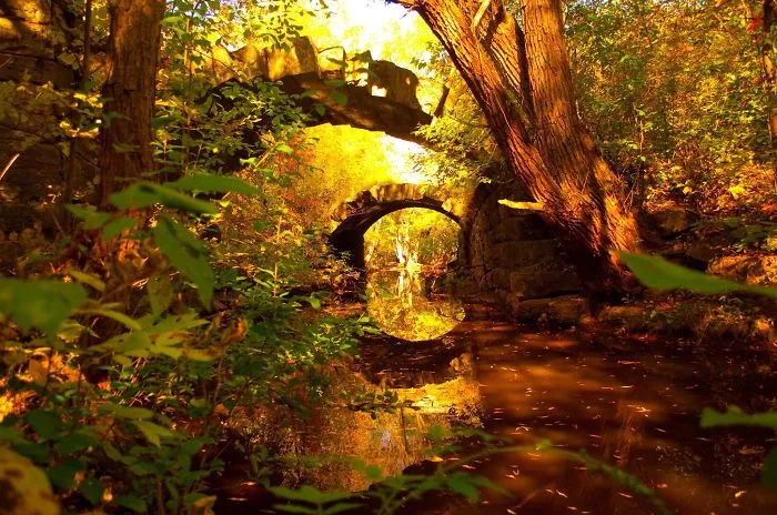 Ancient mystical stone bridges over calm water surrounded by vibrant autumn foliage in a forest setting.