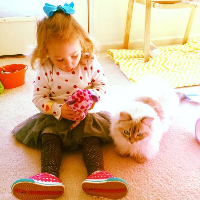 179 Heartwarming Photos Of Kids Playing With Their Cats