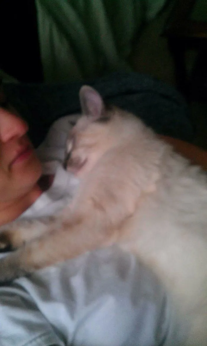 179 Heartwarming Photos Of Kids Playing With Their Cats