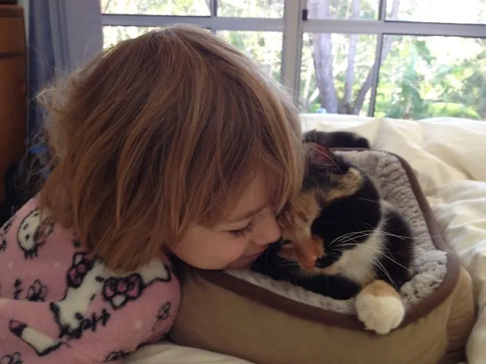 179 Heartwarming Photos Of Kids Playing With Their Cats