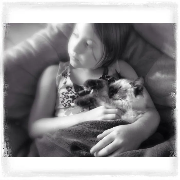 179 Heartwarming Photos Of Kids Playing With Their Cats