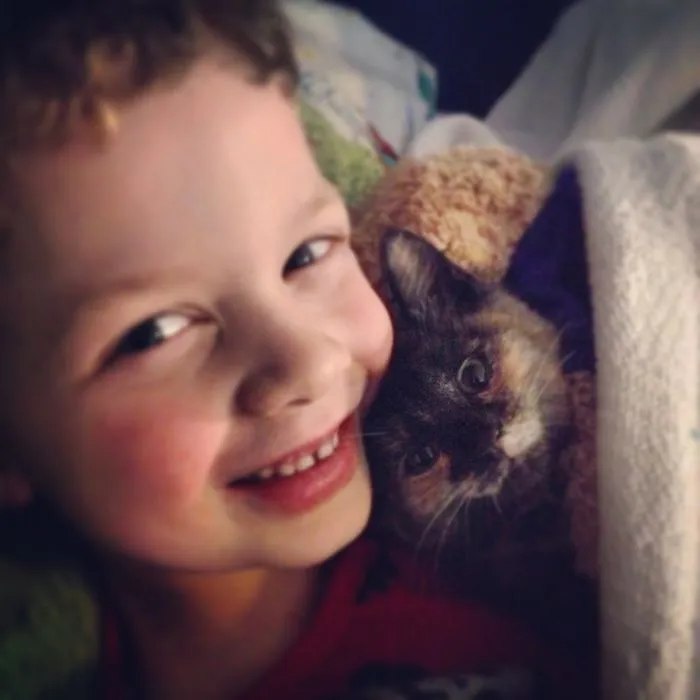 179 Heartwarming Photos Of Kids Playing With Their Cats