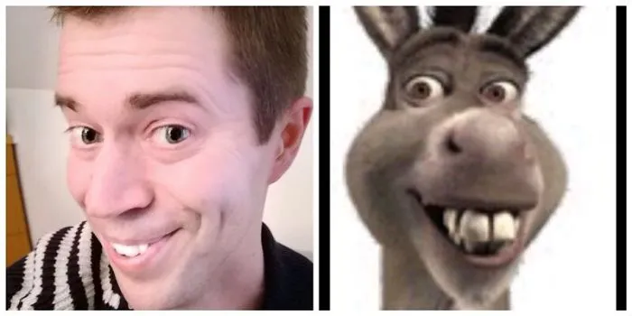 Finn Guy And Donkey