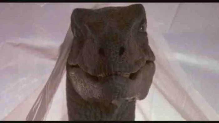 Bennedict/raptor