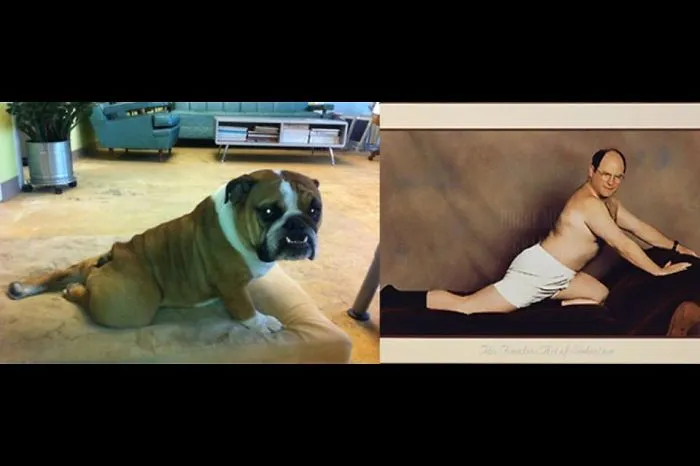 George Kastanza And This Bulldog