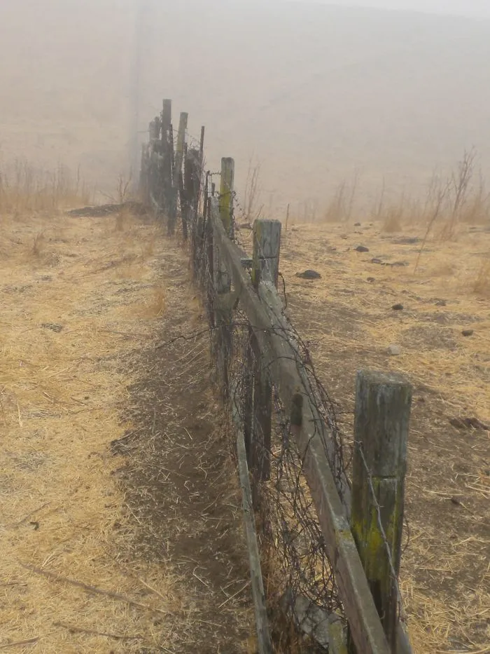 Fence To Forever