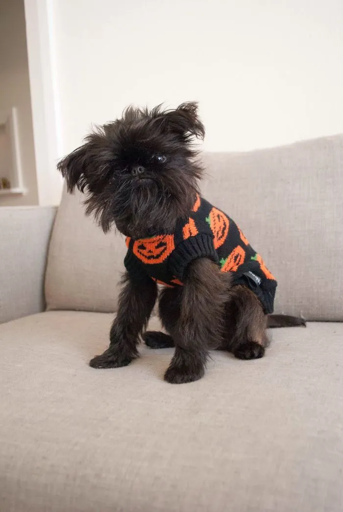 Pumpkin Knitted Sweater