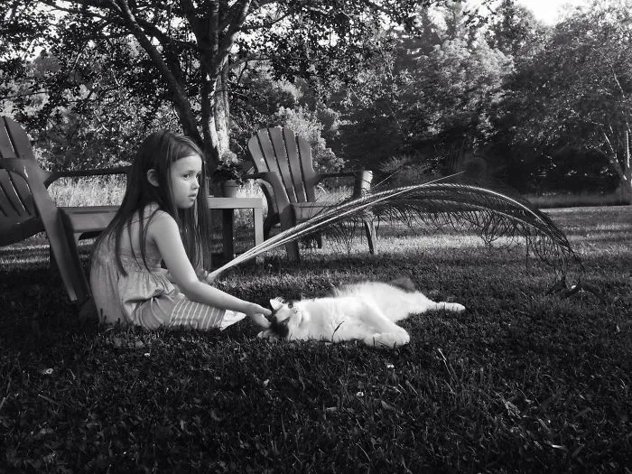 179 Heartwarming Photos Of Kids Playing With Their Cats