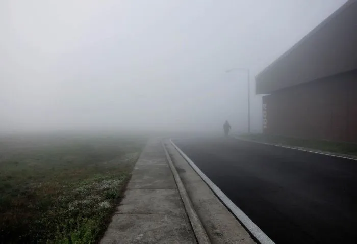 Man In The Fog