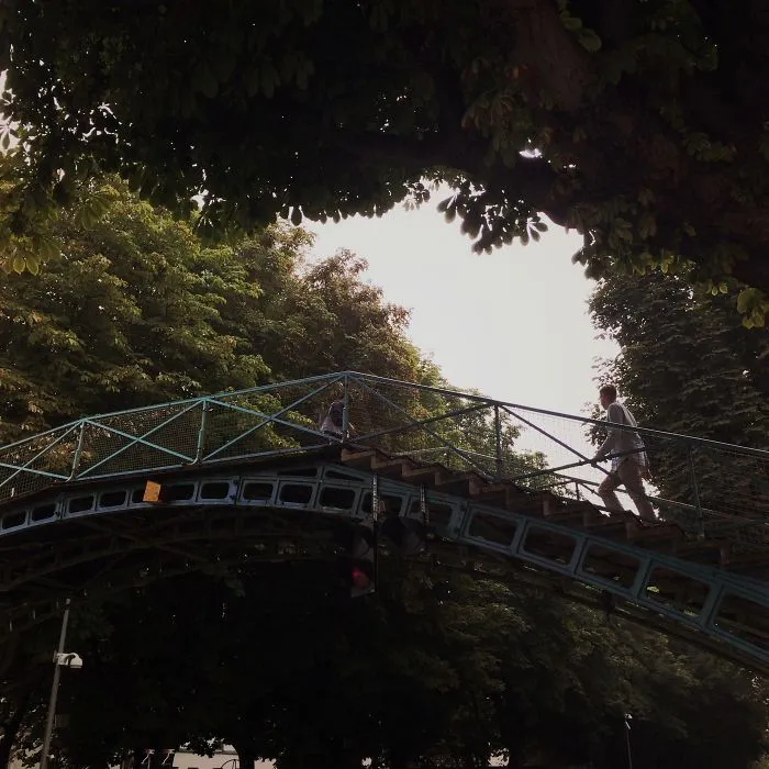 Person walking across a mystical bridge surrounded by lush green trees creating an enchanting natural atmosphere.
