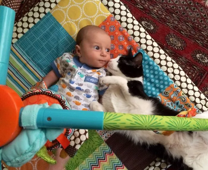 179 Heartwarming Photos Of Kids Playing With Their Cats