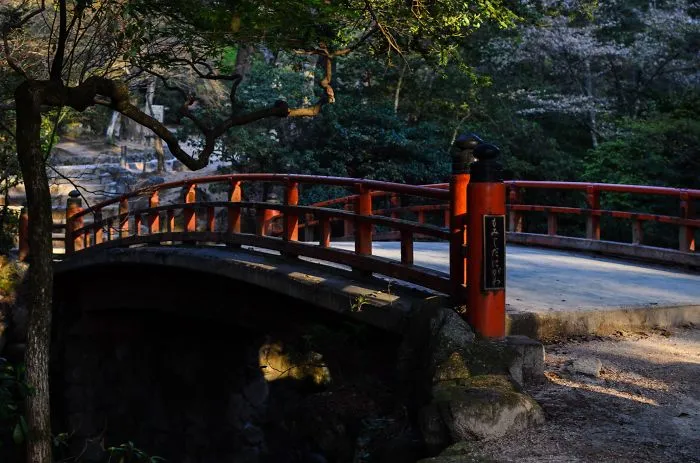 A serene mystical bridge with red railings surrounded by lush greenery and soft sunlight filtering through the trees.
