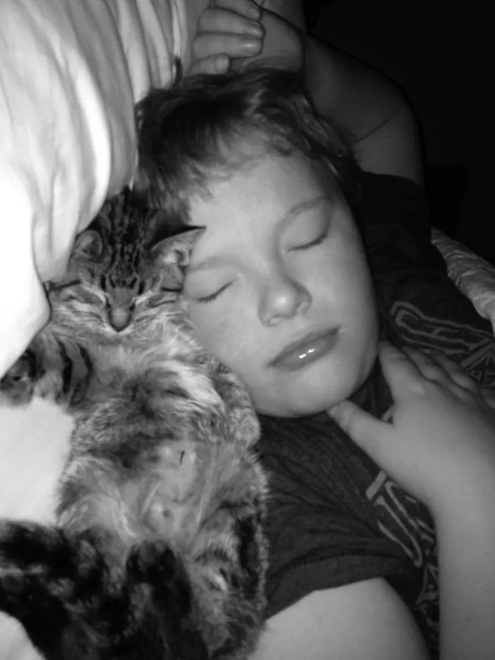 179 Heartwarming Photos Of Kids Playing With Their Cats
