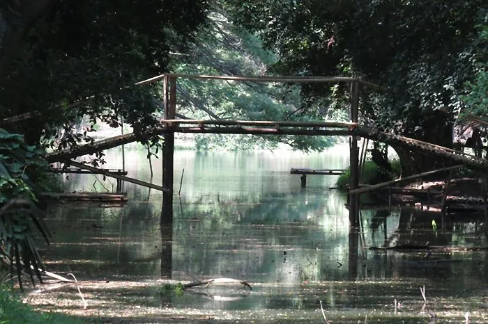 Rustic mystical wooden bridge over calm water surrounded by dense green forest, creating a serene otherworldly atmosphere.