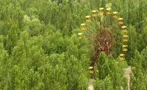 Life In Chernobyl After The Accident: Nature Wins The Battle Against Civilization