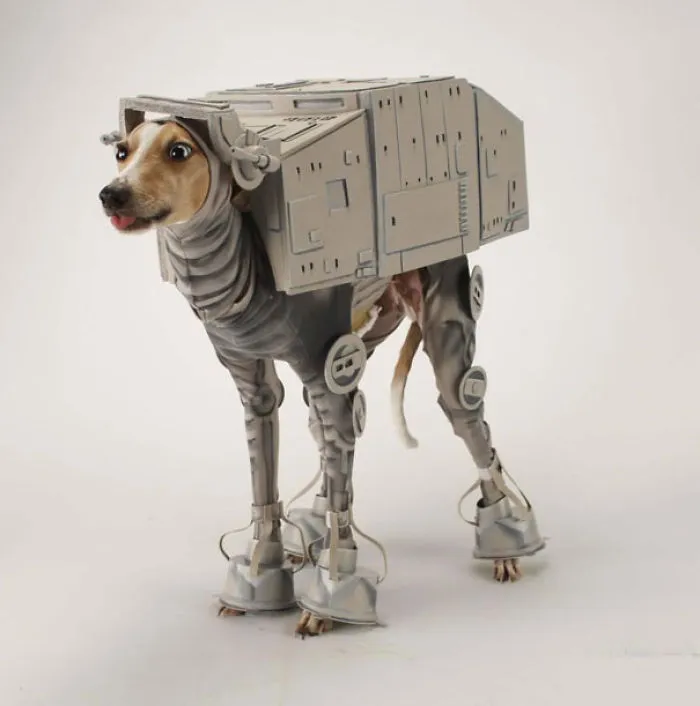 At-at Dog