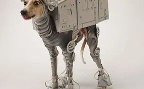 151 Terrifyingly Cute Halloween Costumes For Pets