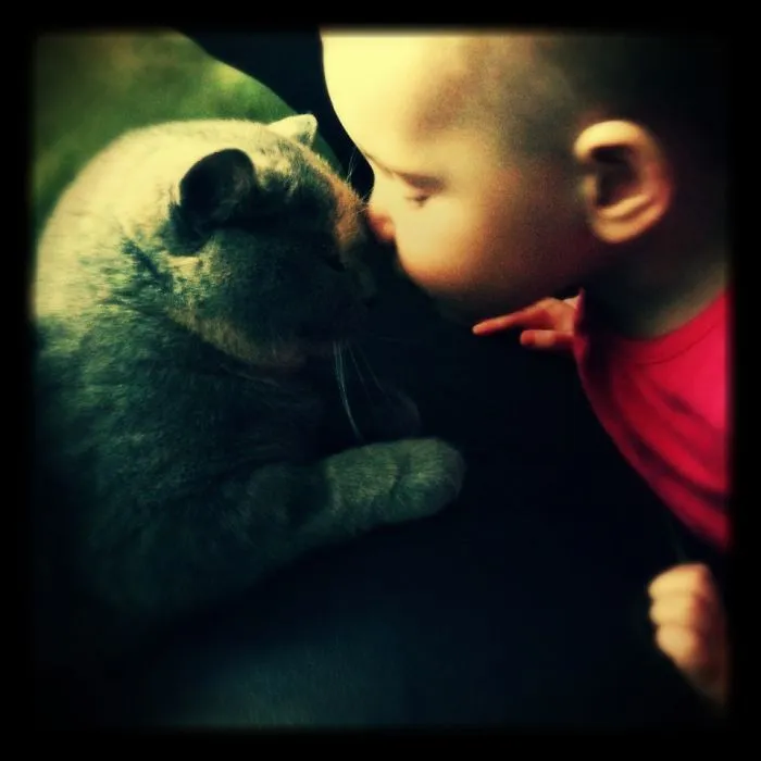 179 Heartwarming Photos Of Kids Playing With Their Cats