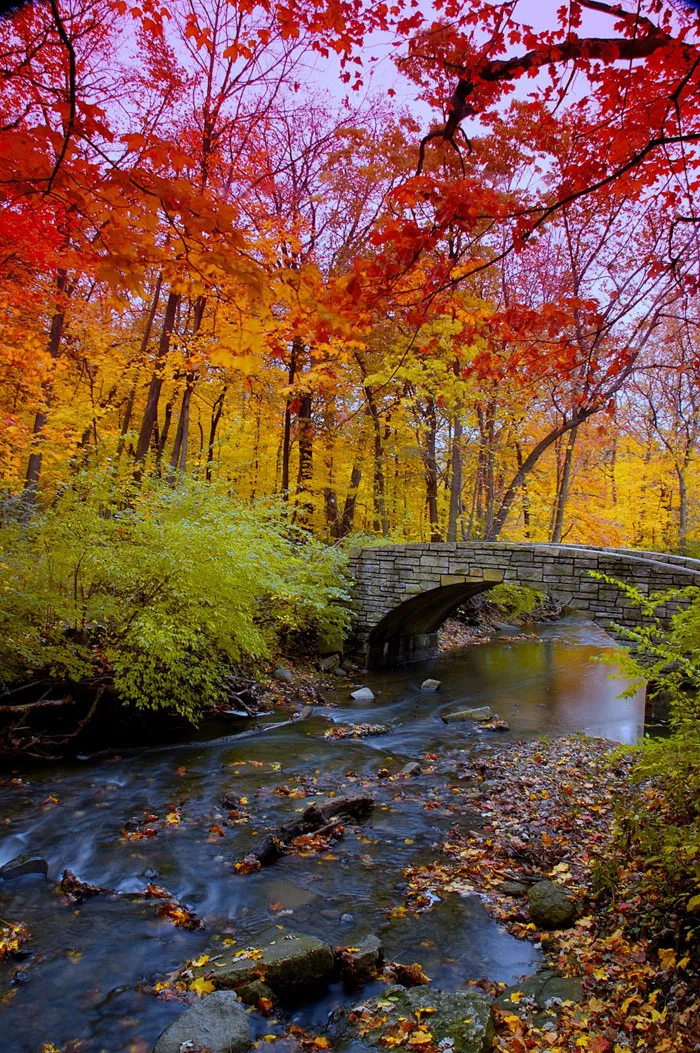 Autumn Colors
