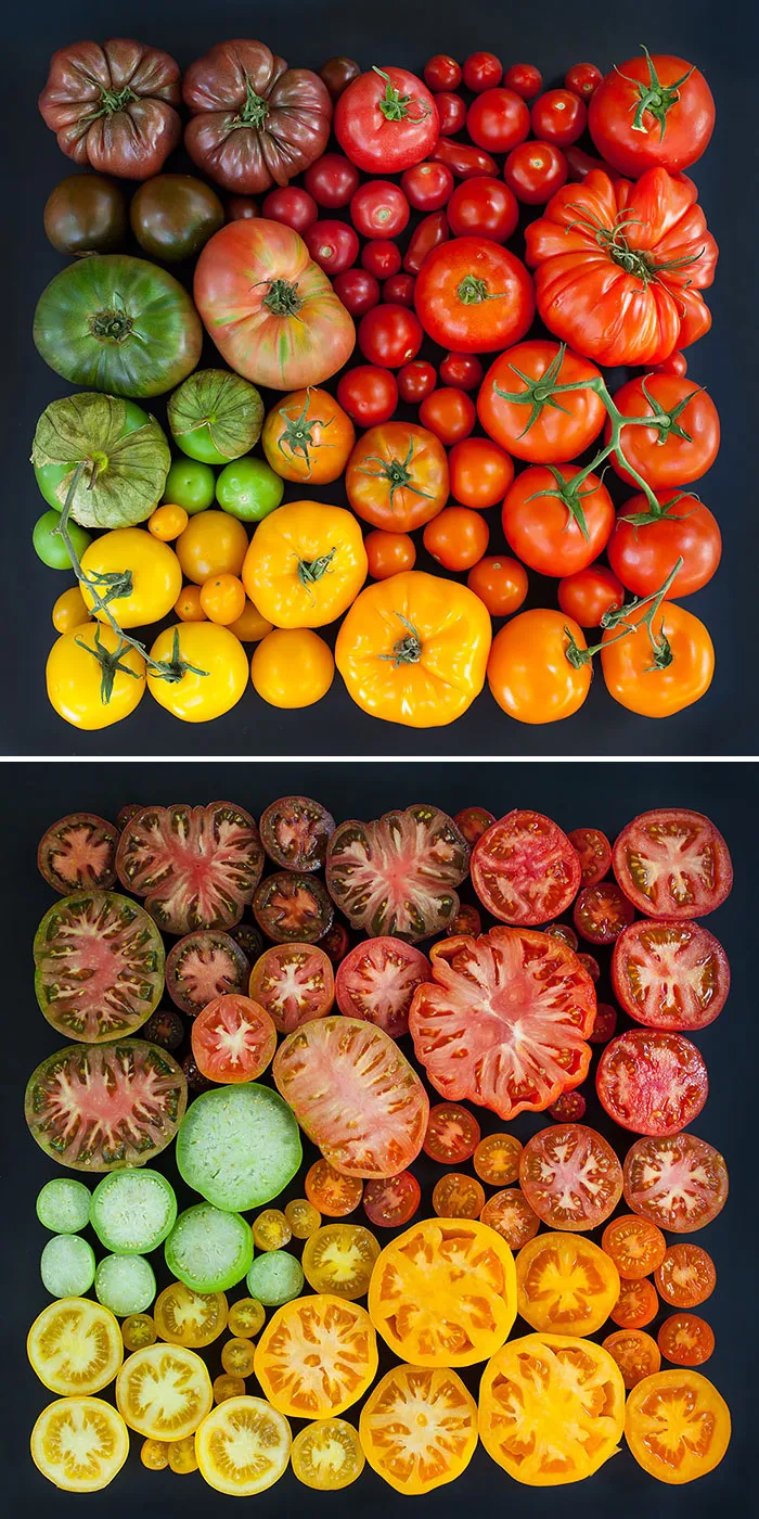 Tomatoes