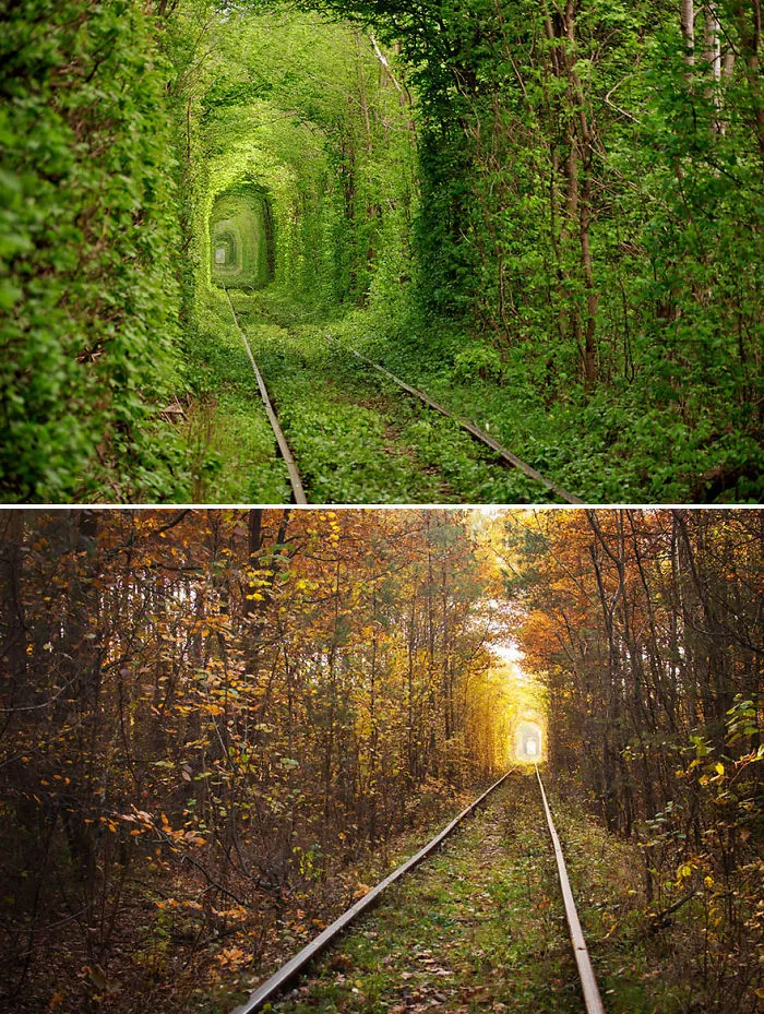 12 Before-And-After Photos Of Autumn's Beautiful Transformations