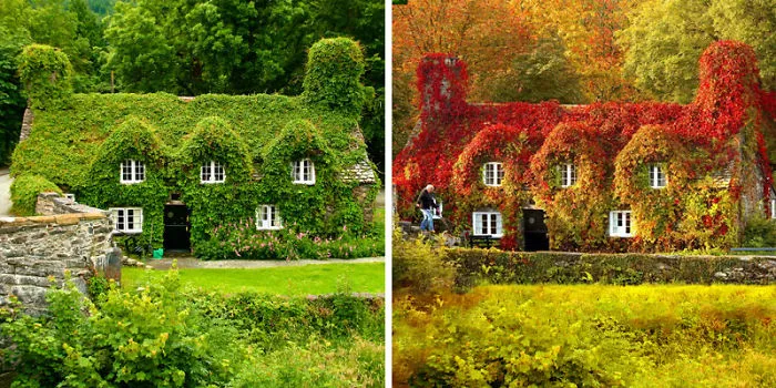 12 Before-And-After Photos Of Autumn's Beautiful Transformations
