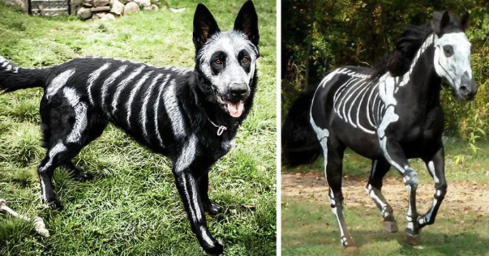 Pet Owners Use Non-Toxic Face Paint To Turn Their Animals Into Creepy Skeletons For Halloween
