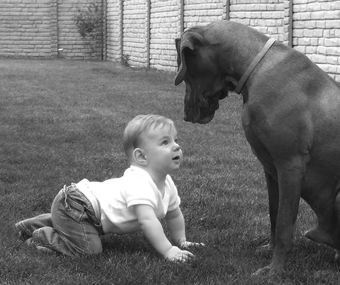 179 Heartwarming Photos Of Kids Playing With Their Cats