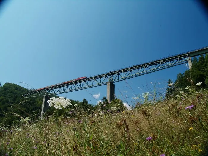 Steel bridge towering over wildflowers and greenery under a clear blue sky, showcasing a mystical bridge scene.