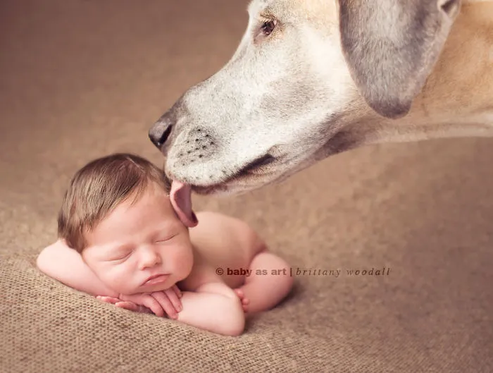 92 Big Dogs Caring For Little Kids