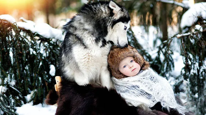 92 Big Dogs Caring For Little Kids