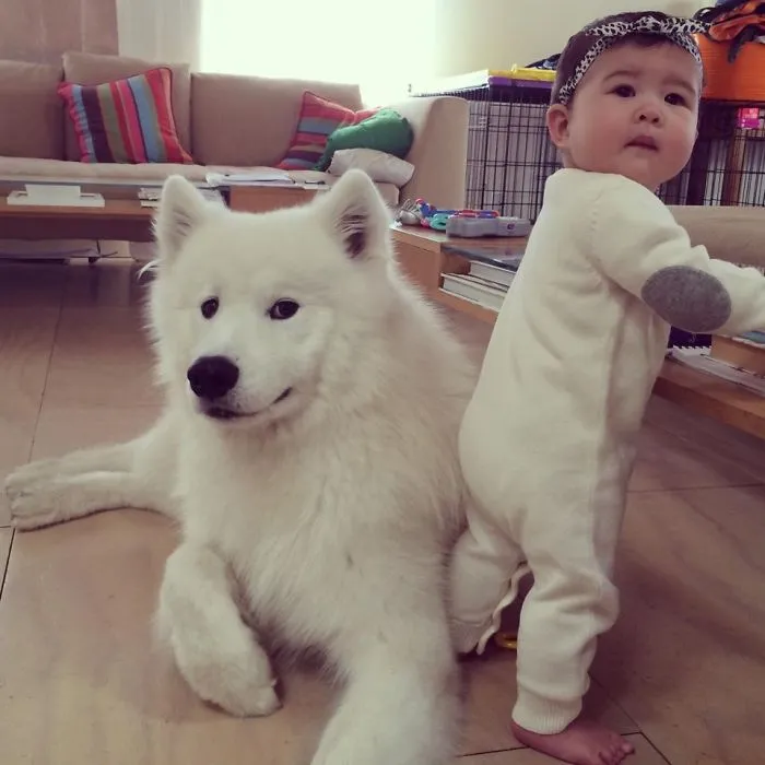 92 Big Dogs Caring For Little Kids