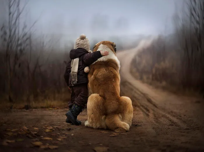 92 Big Dogs Caring For Little Kids