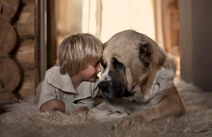 92 Big Dogs Caring For Little Kids