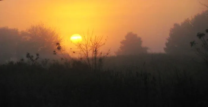 Foggy Sunrise