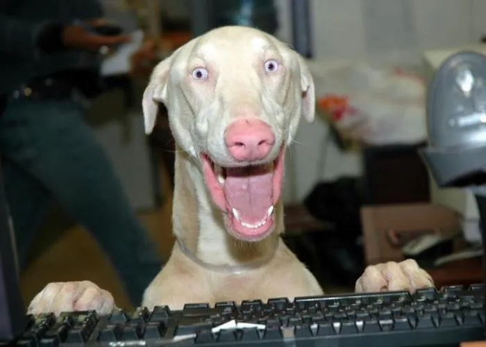 91 Astonished Animals Who Are Freaked Out By What's Happening